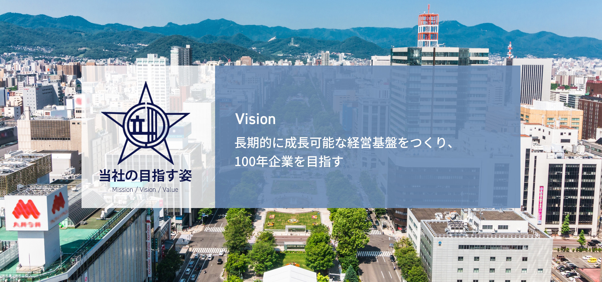 VISION